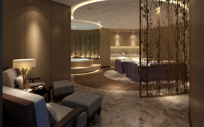 premium salon and spa treatment environment