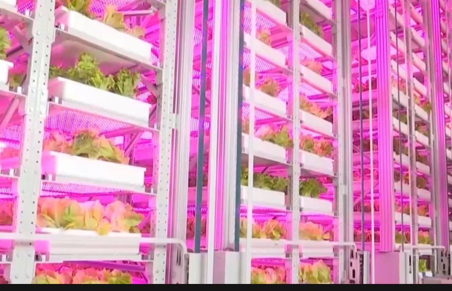 technology-assisted production operation